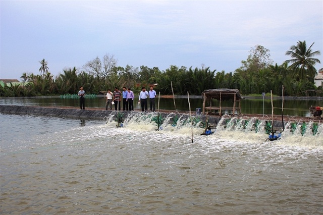 Tư vấn Chứng nhận VietGAP thủy sản