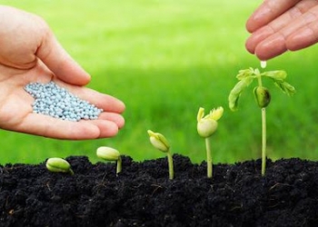 Tư vấn chứng nhận hợp quy phân bón