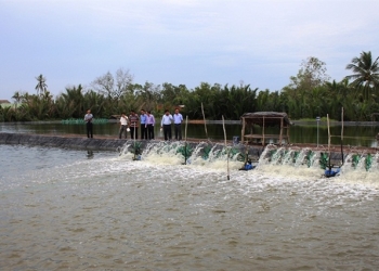 Tư vấn Chứng nhận VietGAP thủy sản
