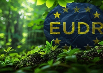 Hướng dẫn thực hiện Quy định chống phá rừng (EUDR) của EU