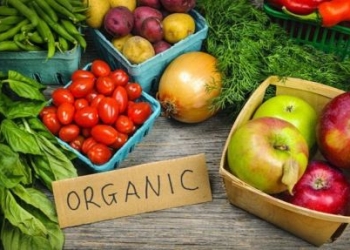 Tư vấn Chứng nhận hữu cơ Organic