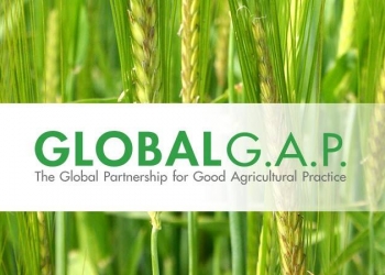 Tư vấn Chứng nhận GlobalGAP
