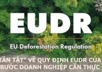 Tư vấn lập hồ sơ xuất khẩu theo quy định EUDR
